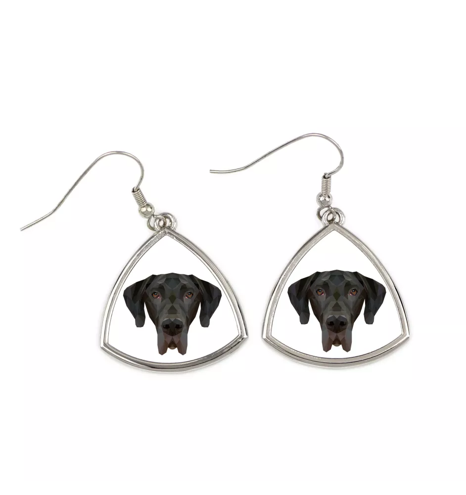 Dogue allemand, Grand danois I - boucles d'oreilles avec une photo et un motif de chien géométrique Art-Dog