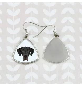 Dogue allemand, Grand danois I - boucles d'oreilles avec une photo et un motif de chien géométrique Art-Dog