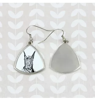 Dogue allemand, Grand danois - boucles d'oreilles avec chien, boucles d'oreilles pendantes avec photo, bijoux personnalisés avec impression de la marque Art-Dog
