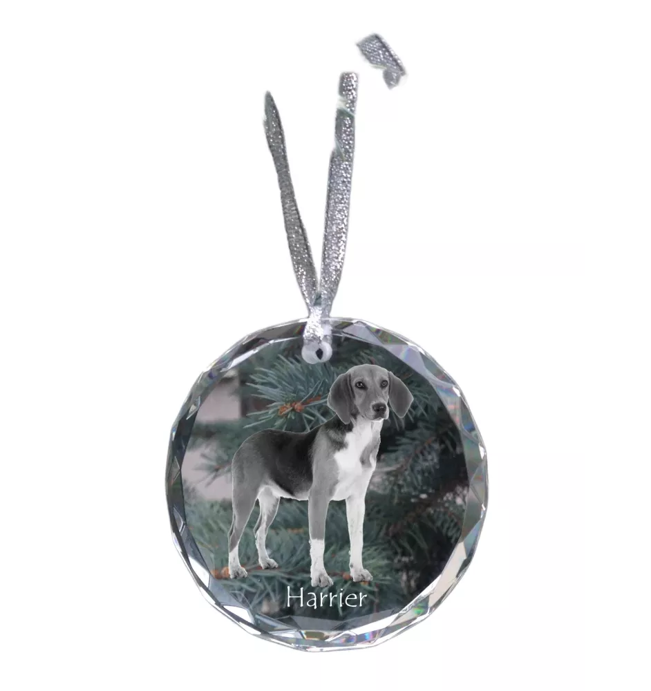 Harrier - boule de Noël en cristal avec une photo, photo de chien dans le cristal, décoration personnalisée pour sapin de Noël de la marque Art-Dog