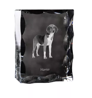 Harrier - Kristall mit einem Hundebild, Glasstatuette mit einem Bild, einzigartiger Bilderrahmen der Marke Art-Dog