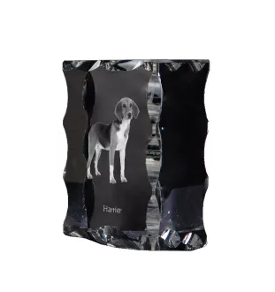 Harrier - crystal with a picture of a dog, glass statuette with a picture, unique frame with a picture from Art-Dog brand