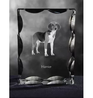 Harrier - Kristall mit einem Hundebild, Glasstatuette mit einem Bild, einzigartiger Bilderrahmen der Marke Art-Dog