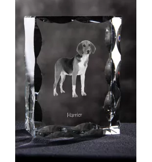 Harrier - cristal avec photo de chien, statuette en verre avec photo, cadre exceptionnel avec photo de la marque Art-Dog
