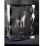 Harrier - Kristall mit einem Hundebild, Glasstatuette mit einem Bild, einzigartiger Bilderrahmen der Marke Art-Dog