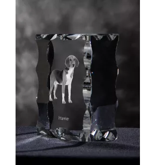 Harrier - Kristall mit einem Hundebild, Glasstatuette mit einem Bild, einzigartiger Bilderrahmen der Marke Art-Dog