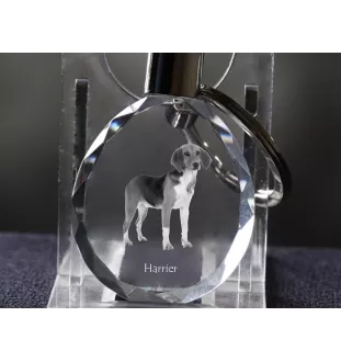 Harrier - pendant with a photo of a dog, crystal key ring in a gift box, a unique gift by Art-Dog