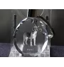 Harrier - pendant with a photo of a dog, crystal key ring in a gift box, a unique gift by Art-Dog