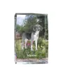 Harrier - Kristall mit einem Hundebild, Bild im Glas, moderne Ausstellung des Art-Dog-Bildes.