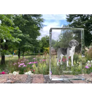 Harrier - cristal avec une photo de chien, photo sous verre, exposition moderne de la marque de photos Art-Dog