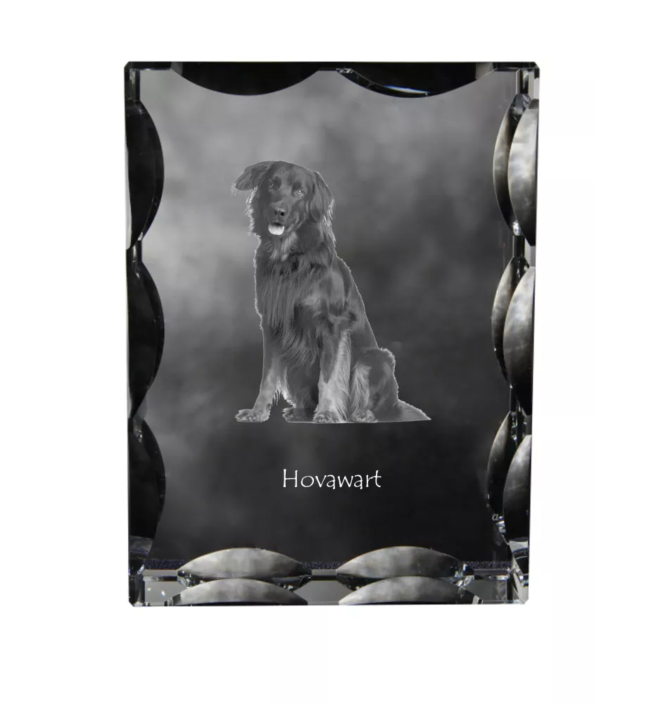 Hovawart - cristal avec photo de chien, statuette en verre avec photo, cadre exceptionnel avec photo de la marque Art-Dog