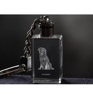Hovawart - Schlüsselanhänger aus Kristall mit Hundefoto, beleuchteter Schlüsselanhänger, einzigartiges Geschenk der Marke Art-Dog