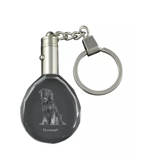 Hovawart - Anhänger mit einem Foto eines Hundes, Schlüsselanhänger aus Kristall in einer Geschenkbox, ein einzigartiges Geschenk von Art-Dog
