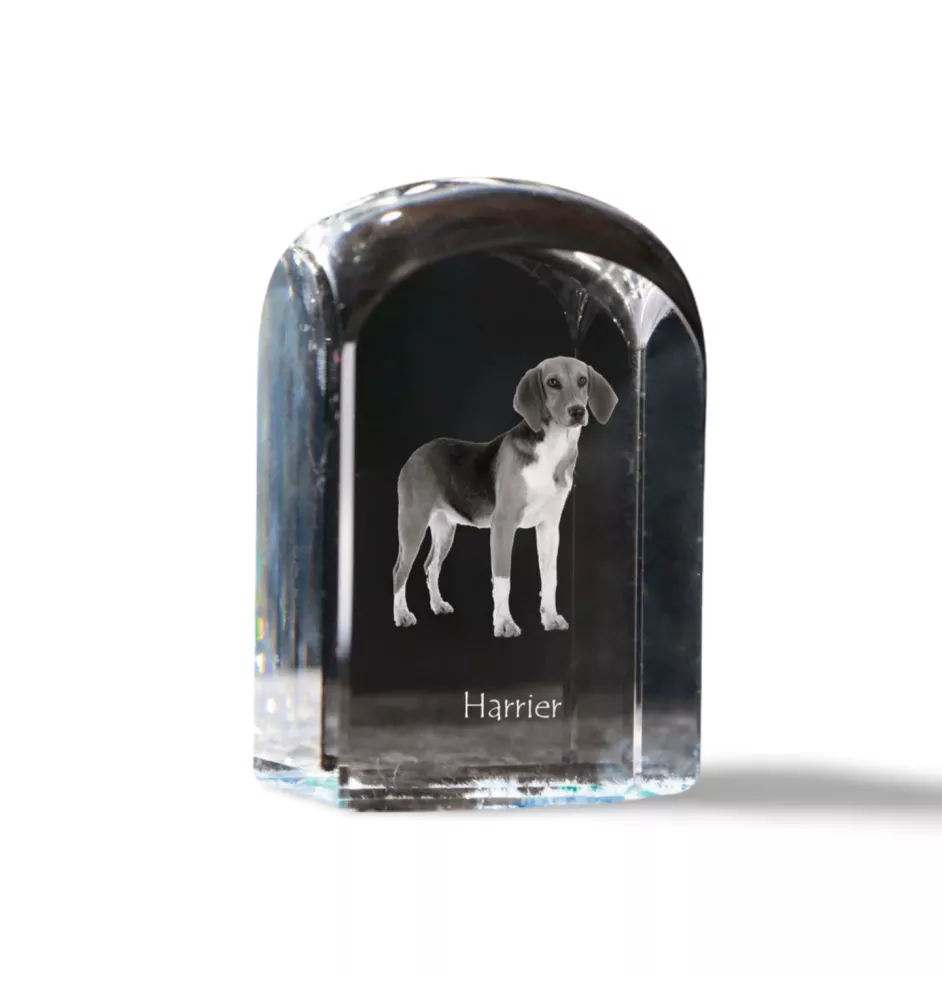 Harrier - un cube de cristal avec une photo, une photo de chien dans le cristal, un presse-papiers cubique de la marque Art-Dog