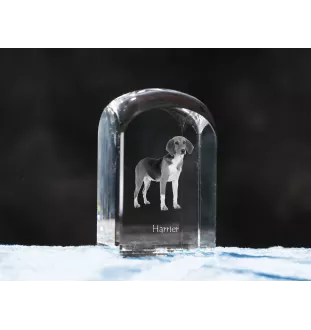 Harrier - un cube de cristal avec une photo, une photo de chien dans le cristal, un presse-papiers cubique de la marque Art-Dog