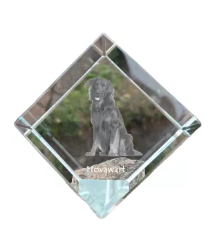 Hovawart, Hovie - crystal cube with a photo, photo of a horse in crystal, cubic paperweight from Art-Dog brand