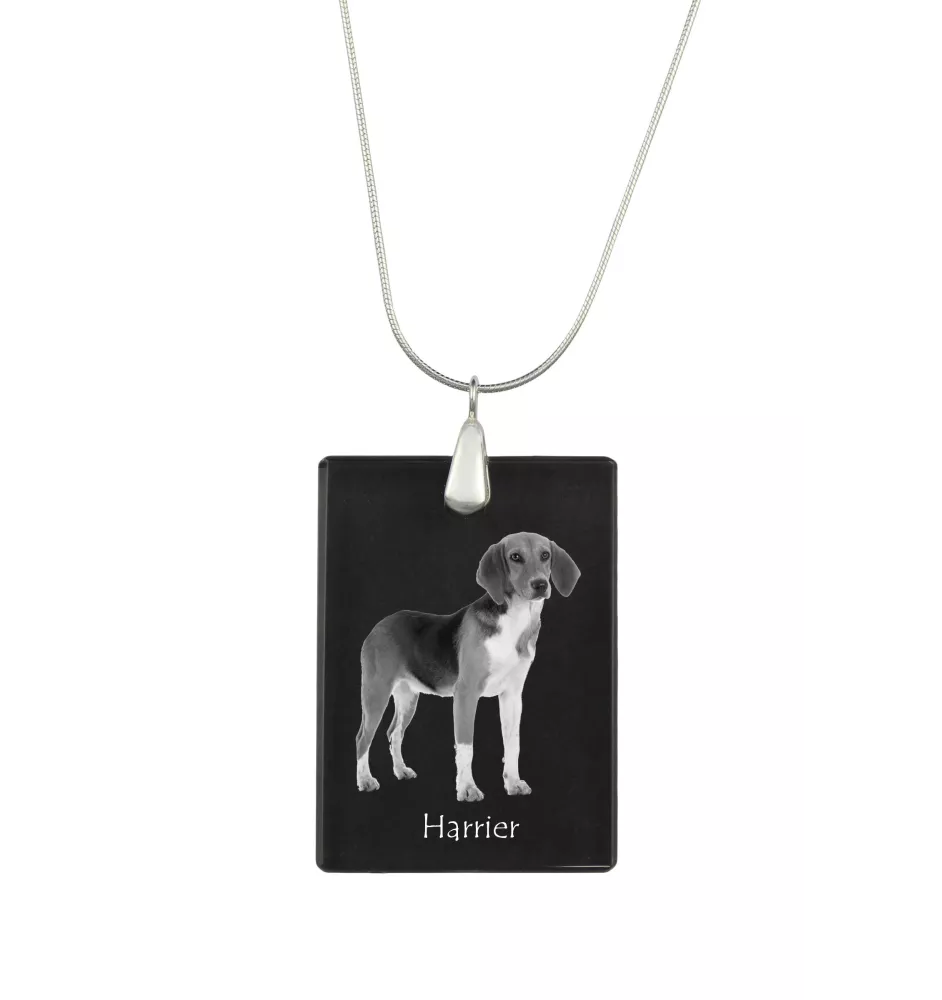 Harrier - Crystal pendant with dog, silver necklace with photo, personalised pendant by Art-Dog brand