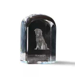 Hovawart - un cube de cristal avec une photo, une photo de chien dans le cristal, un presse-papiers cubique de la marque Art-Dog