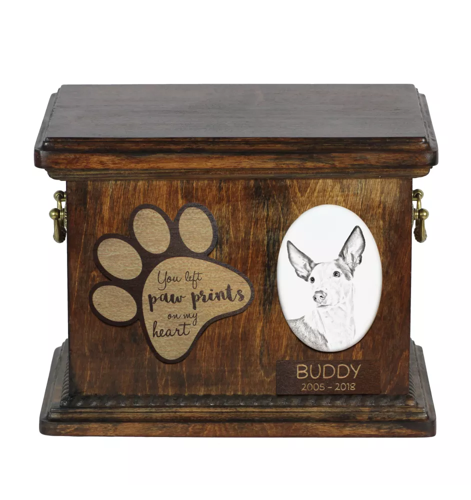 Ibizan Hound, Ibizan Podenco, Ibizan Warren Hound - urn for dog ashes, personalized urn with a photo, dog photo urn by Art-Dog