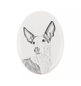 Podenco Ibicenco, Ibiza-Podenco,Ca Eivissec - Gedenktafel mit einem Foto eines Hundes, Grabplatte mit Druck, personalisierte ovale Platte der Marke Art-Dog