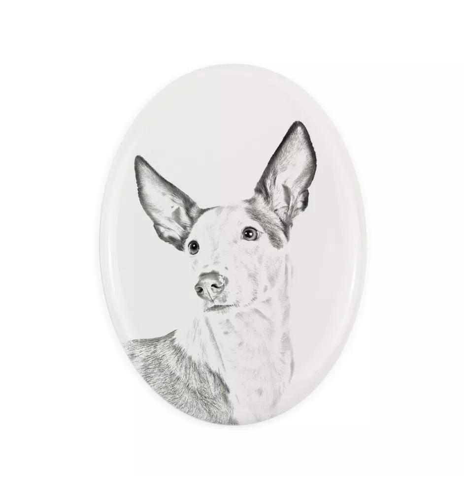 Podenco z Ibizy płyta nagrobna ze zdjęciem psa Art-Dog
