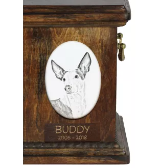 Podenco Ibicenco, Ibiza-Podenco,Ca Eivissec - Gedenktafel mit einem Foto eines Hundes, Grabplatte mit Druck, personalisierte ovale Platte der Marke Art-Dog