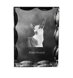 Ibizan Hound, Ibizan Podenco, Ibizan Warren Hound - crystal with a picture of a dog, glass statuette with a picture, unique frame with a picture from Art-Dog brand