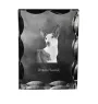 Ibizan Hound, Ibizan Podenco, Ibizan Warren Hound - crystal with a picture of a dog, glass statuette with a picture, unique frame with a picture from Art-Dog brand