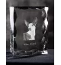 Ibizan Hound, Ibizan Podenco, Ibizan Warren Hound - crystal with a picture of a dog, glass statuette with a picture, unique frame with a picture from Art-Dog brand