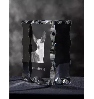 Ibizan Hound, Ibizan Podenco, Ibizan Warren Hound - crystal with a picture of a dog, glass statuette with a picture, unique frame with a picture from Art-Dog brand