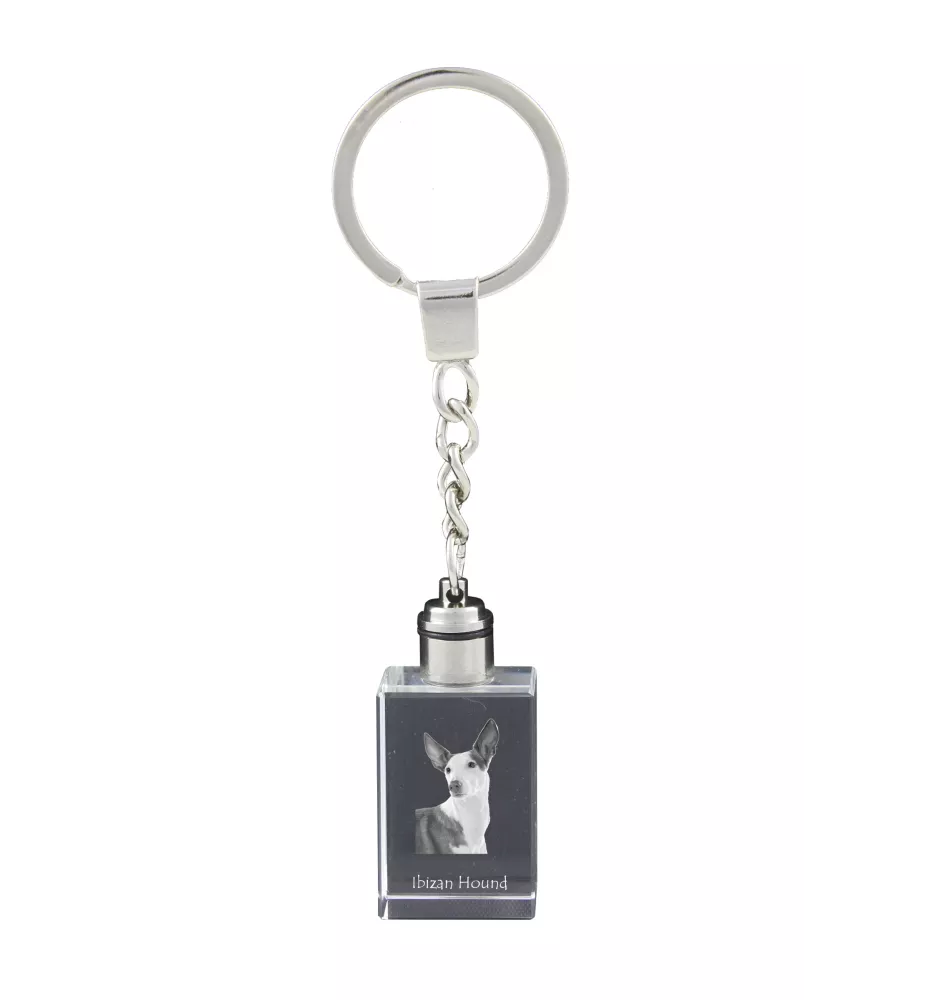 Ibizan Hound, Ibizan Podenco, Ibizan Warren Hound - Crystal key ring with dog photo, illuminated key ring, unique gift by Art-Dog brand