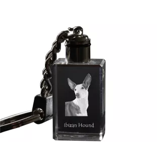 Podenco Ibicenco, Ibiza-Podenco,Ca Eivissec - Schlüsselanhänger aus Kristall mit Hundefoto, beleuchteter Schlüsselanhänger, einzigartiges Geschenk der Marke Art-Dog