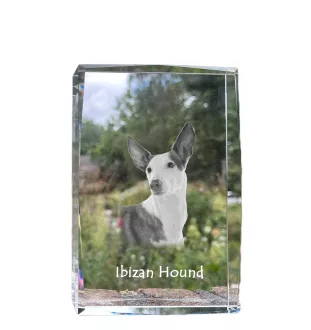 Podenco Ibicenco, Ibiza-Podenco,Ca Eivissec - Kristall mit einem Hundebild, Bild im Glas, moderne Ausstellung des Art-Dog-Bildes.
