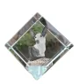 Podenco d'Ibiza, chien de garenne des Baléares - un cube de cristal avec une photo, une photo de cheval dans le cristal, un presse-papiers cubique de la marque Art-Dog