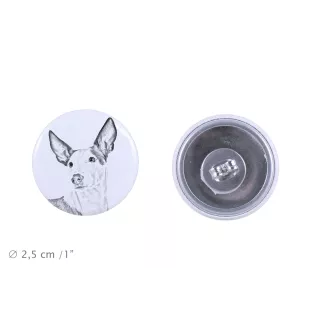 Podenco z Ibizy kolczyki z psem mały Art-Dog