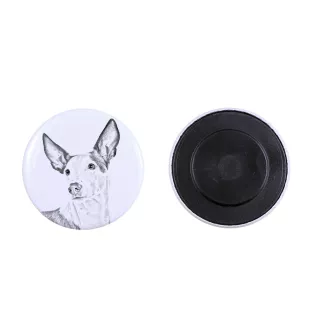 Podenco d'Ibiza, chien de garenne des Baléares - aimant avec un œil de chien, exceptionnellement léger, aimant puissant, produit fabriqué à la main par la marque Art-Dog