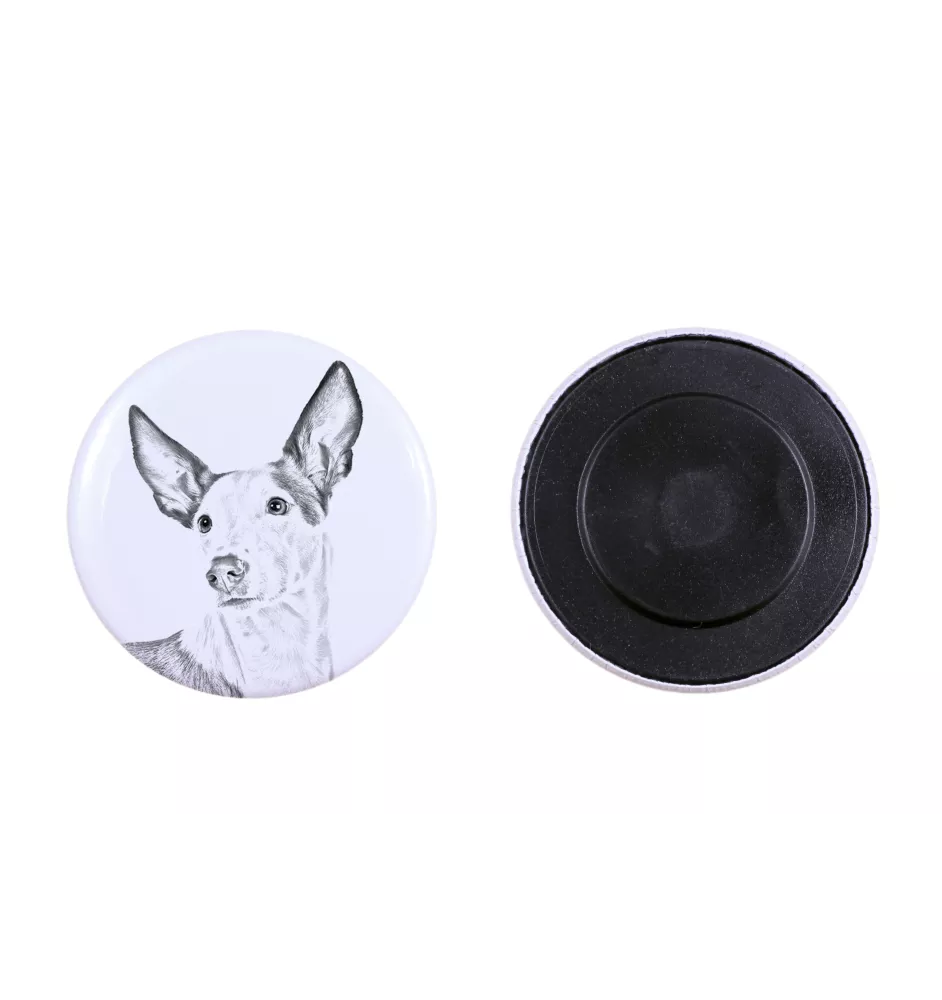 Podenco d'Ibiza, chien de garenne des Baléares - aimant avec un œil de chien, exceptionnellement léger, aimant puissant, produit fabriqué à la main par la marque Art-Dog