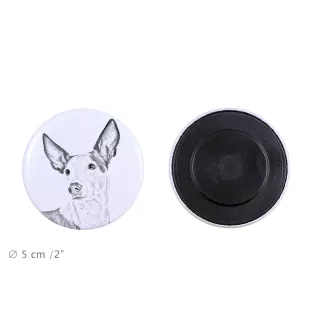 Podenco d'Ibiza, chien de garenne des Baléares - aimant avec un œil de chien, exceptionnellement léger, aimant puissant, produit fabriqué à la main par la marque Art-Dog