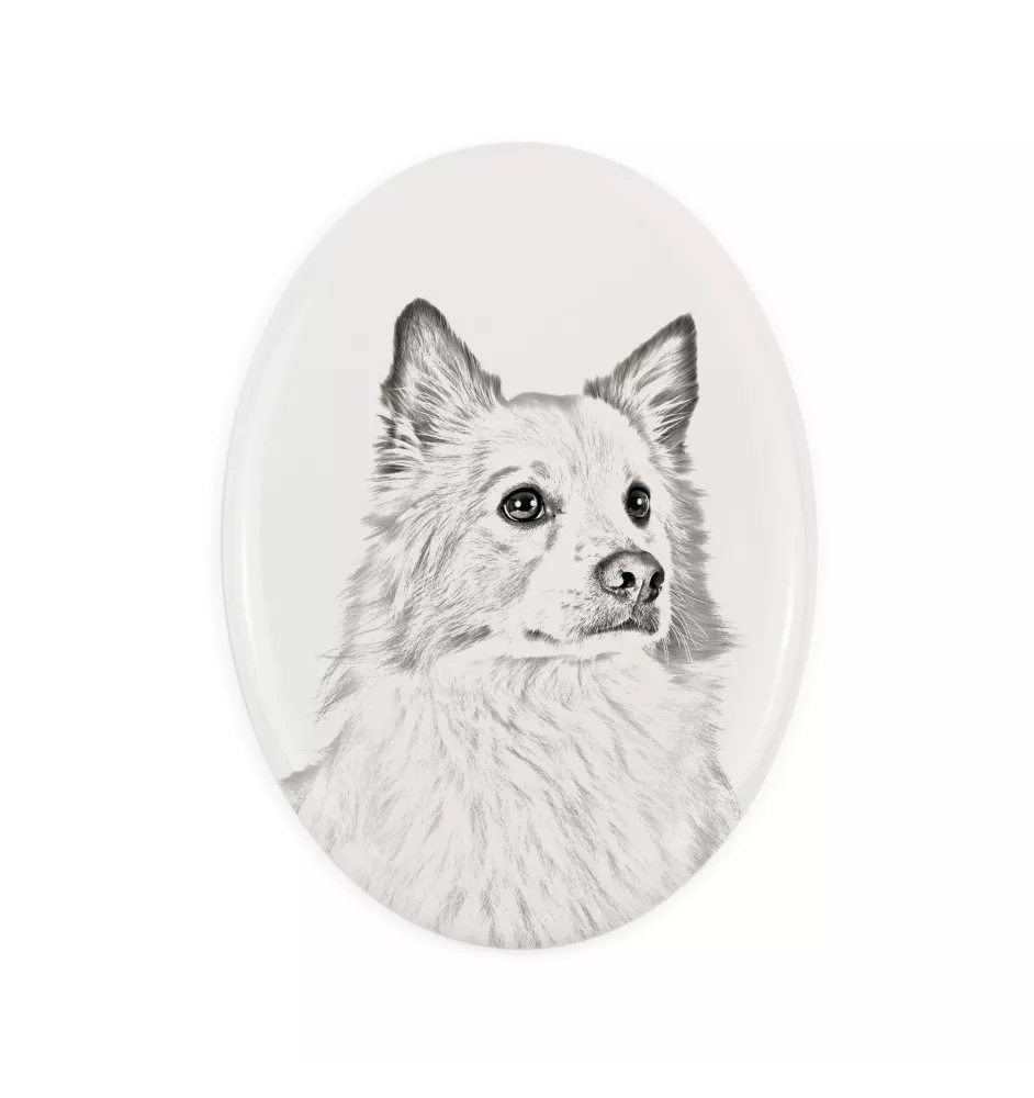 Chien de berger islandais, Berger d'Islande - une plaque commémorative avec une photo de chien, une plaque funéraire avec une impression, une plaque ovale personnalisée de la marque Art-Dog
