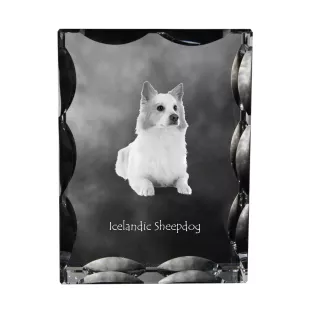 Icelandic Sheepdog, Icelandic Spitz, Iceland Dog - crystal with a picture of a dog, glass statuette with a picture, unique frame with a picture from Art-Dog brand