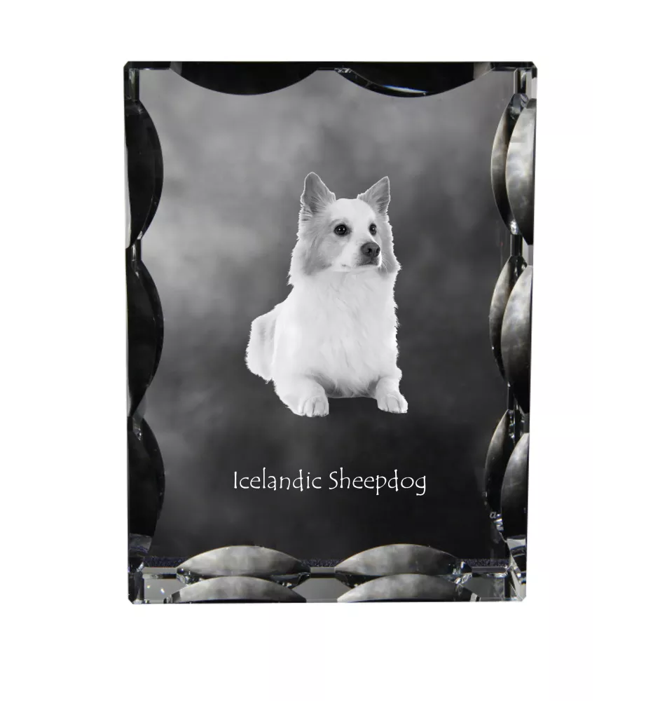 Islandhund, Isländischer Spitz, Isländischer Schäferhund - Kristall mit einem Hundebild, Glasstatuette mit einem Bild, einzigartiger Bilderrahmen der Marke Art-Dog