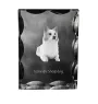 Icelandic Sheepdog, Icelandic Spitz, Iceland Dog - crystal with a picture of a dog, glass statuette with a picture, unique frame with a picture from Art-Dog brand