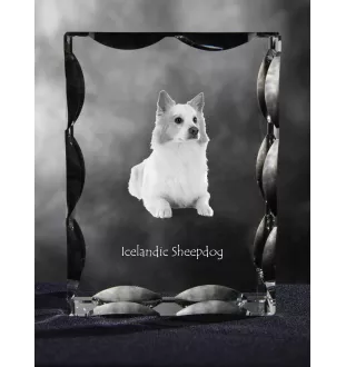 Islandhund, Isländischer Spitz, Isländischer Schäferhund - Kristall mit einem Hundebild, Glasstatuette mit einem Bild, einzigartiger Bilderrahmen der Marke Art-Dog