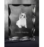 Icelandic Sheepdog, Icelandic Spitz, Iceland Dog - crystal with a picture of a dog, glass statuette with a picture, unique frame with a picture from Art-Dog brand