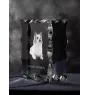 Icelandic Sheepdog, Icelandic Spitz, Iceland Dog - crystal with a picture of a dog, glass statuette with a picture, unique frame with a picture from Art-Dog brand