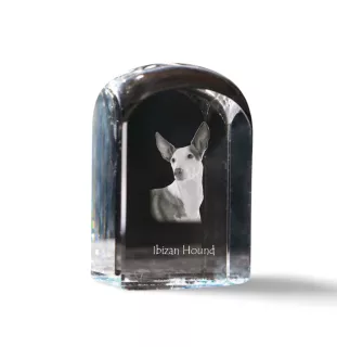 Ibizan Hound, Ibizan Podenco, Ibizan Warren Hound - crystal cube with a photo, photo of a dog in crystal, cubic paperweight from Art-Dog brand