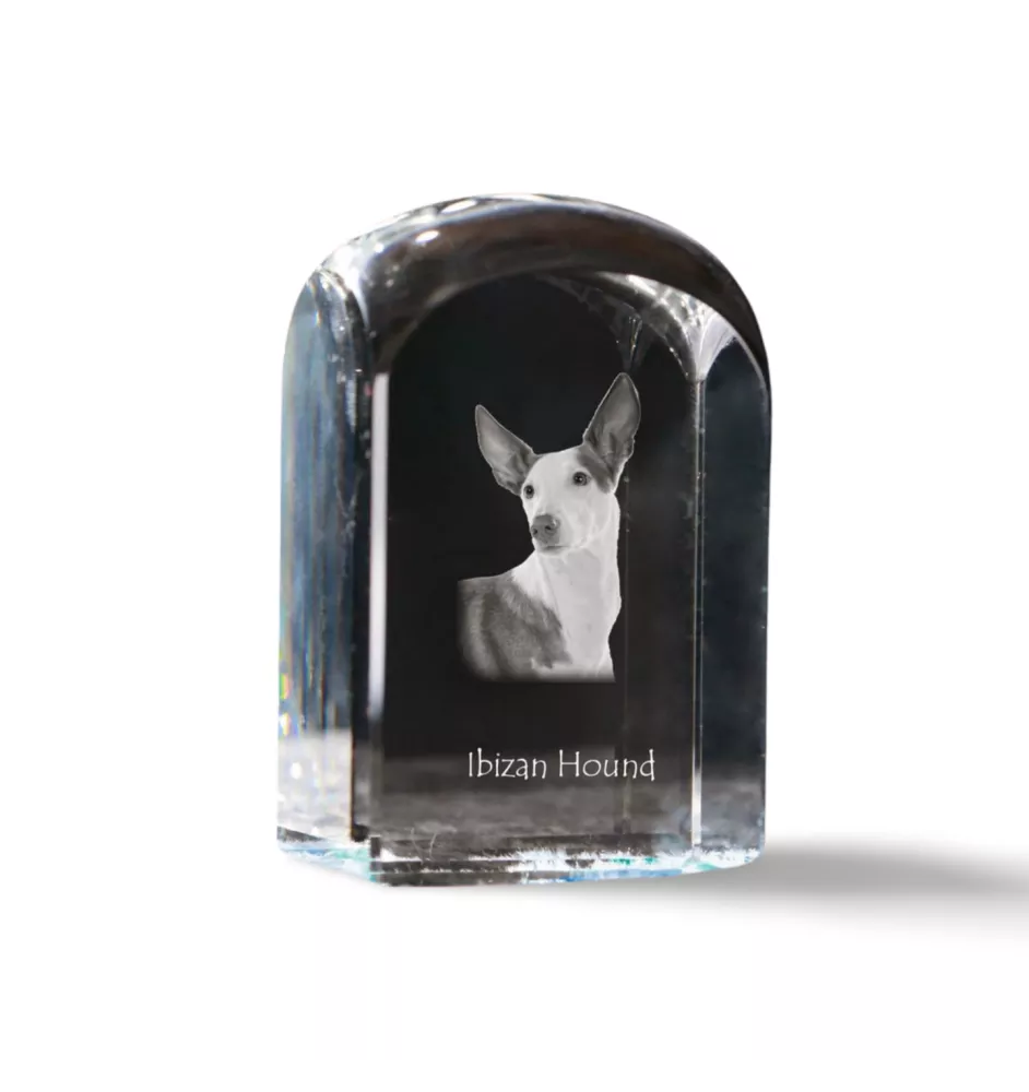 Ibizan Hound, Ibizan Podenco, Ibizan Warren Hound - crystal cube with a photo, photo of a dog in crystal, cubic paperweight from Art-Dog brand