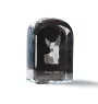 Ibizan Hound, Ibizan Podenco, Ibizan Warren Hound - crystal cube with a photo, photo of a dog in crystal, cubic paperweight from Art-Dog brand