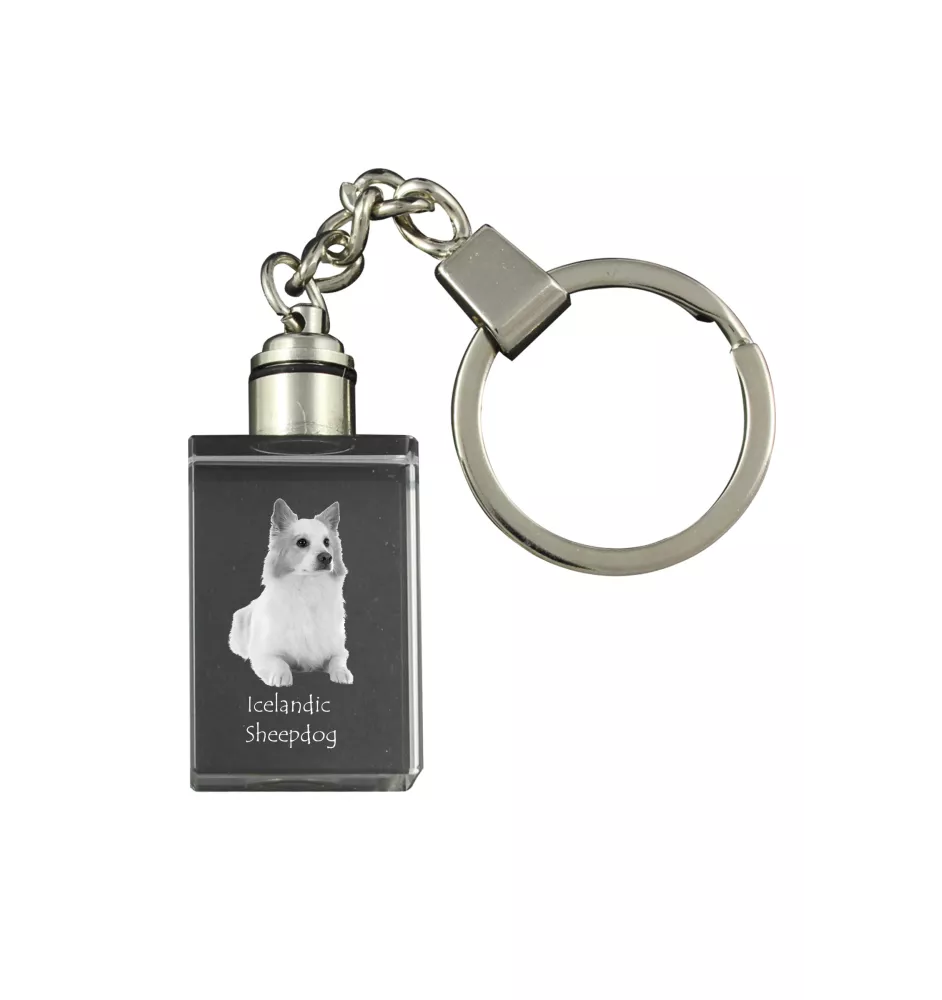 Icelandic Sheepdog, Icelandic Spitz, Iceland Dog - Crystal key ring with dog photo, illuminated key ring, unique gift by Art-Dog brand