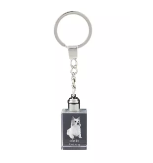Icelandic Sheepdog, Icelandic Spitz, Iceland Dog - Crystal key ring with dog photo, illuminated key ring, unique gift by Art-Dog brand